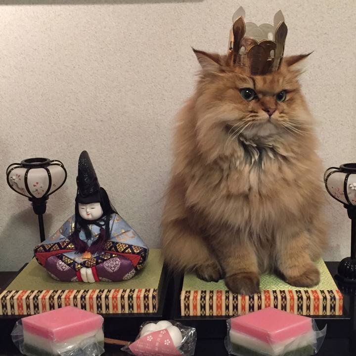 762647a8 e10d 44fb 8381 2b262bedd3e7