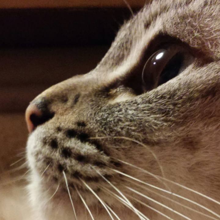 76272299 40b5 46db a260 1fbe7af0db01