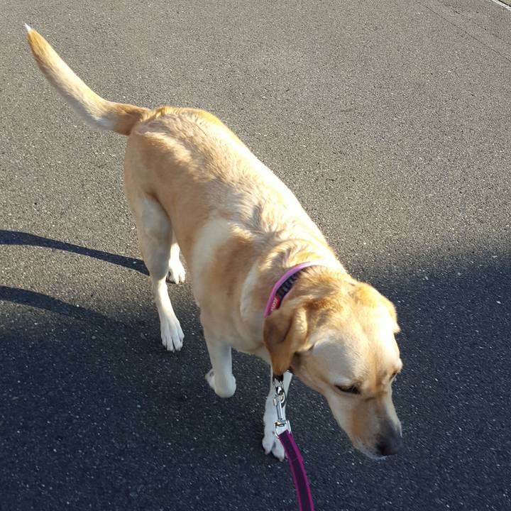 762730f8 5d7f 4a1e af8d 4f6bf15d5b3b