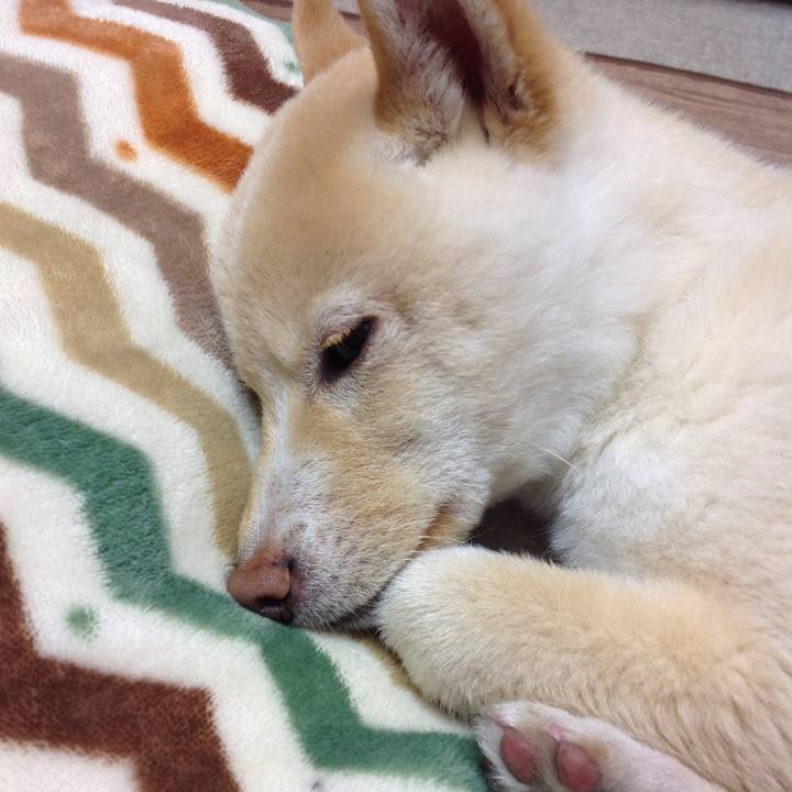 76278ab0 b839 48e5 8da7 0e9d2f1da80e