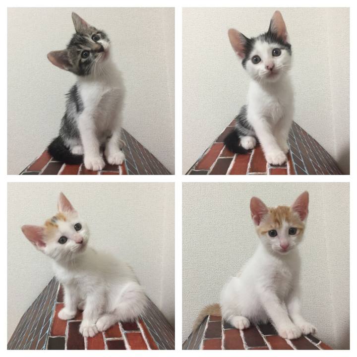 7627acb3 7fbc 4ef9 b966 09f0ddf2bcb9