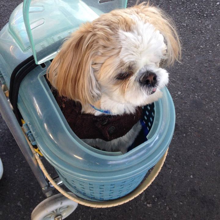 7627d190 5778 4335 93ff 0fe25014b84b