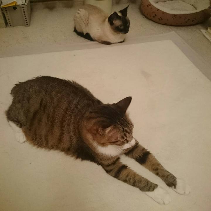 7627fb09 3cdc 456e bc79 20832d95461f