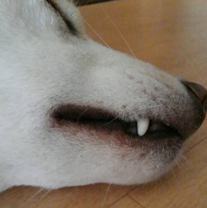 76296e03 dbe1 461e 876a 92293003ad5f