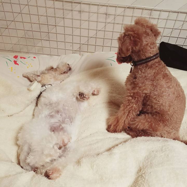 7629b1ce 866b 4cf8 9982 fb724182c41c