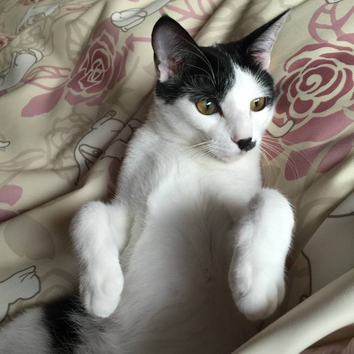 7629bd53 23fe 42a9 b2cd 7b7df7b1b181