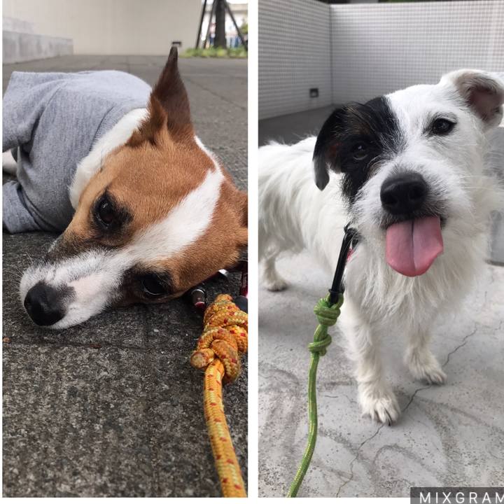 7629c371 769e 48e0 a4ba 0982e78d8402