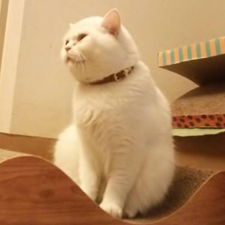 762ade8e 48fa 4e39 96d6 dc353f53a75b