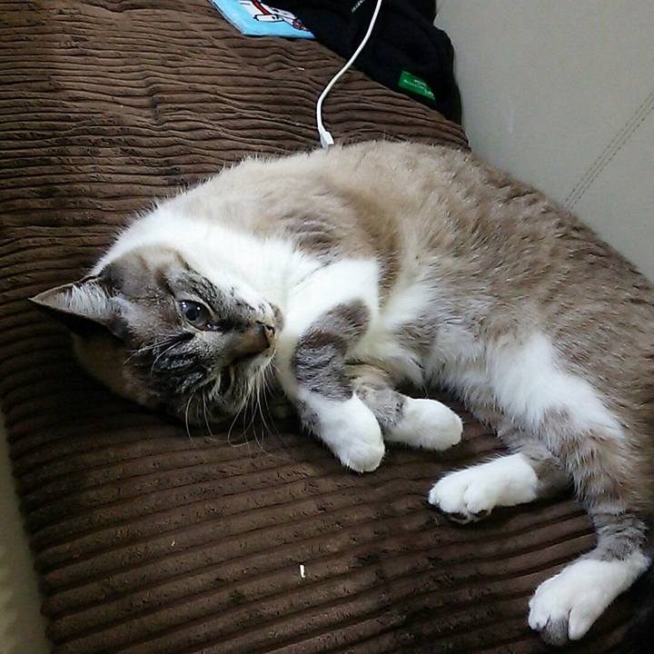 762b3a6a b359 46f7 9060 8e8e008813c7