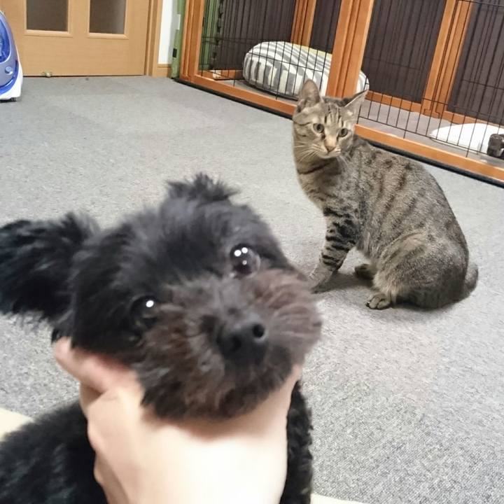 762cda81 aee1 4b98 b138 5e2847f15269