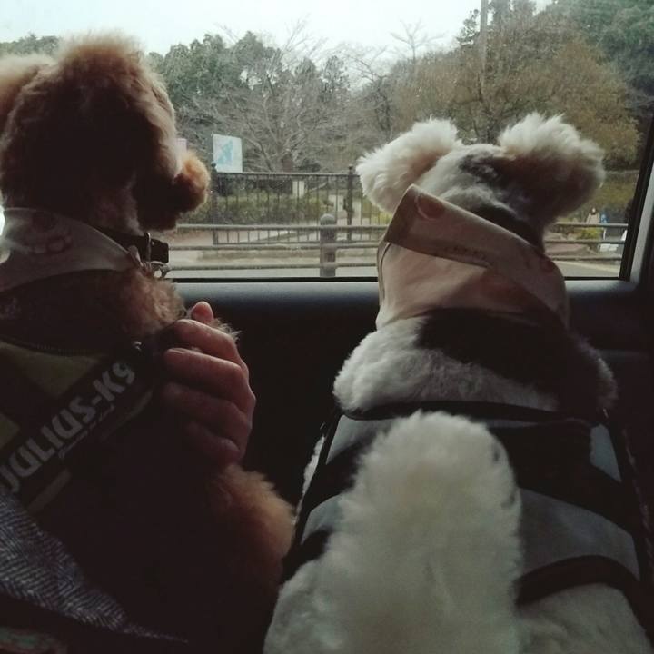 762cf3dc 6ff0 44d8 a1b4 5c7e0d04a2cc