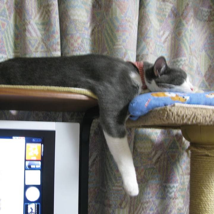 762d1cca 7925 4fcb 970d 3540f17ff9f6