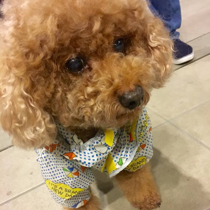 762d8d1a e257 4ff3 9196 ec260026945e