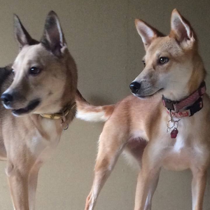 762daeda cc87 4e8f 9967 e246ed4d8617