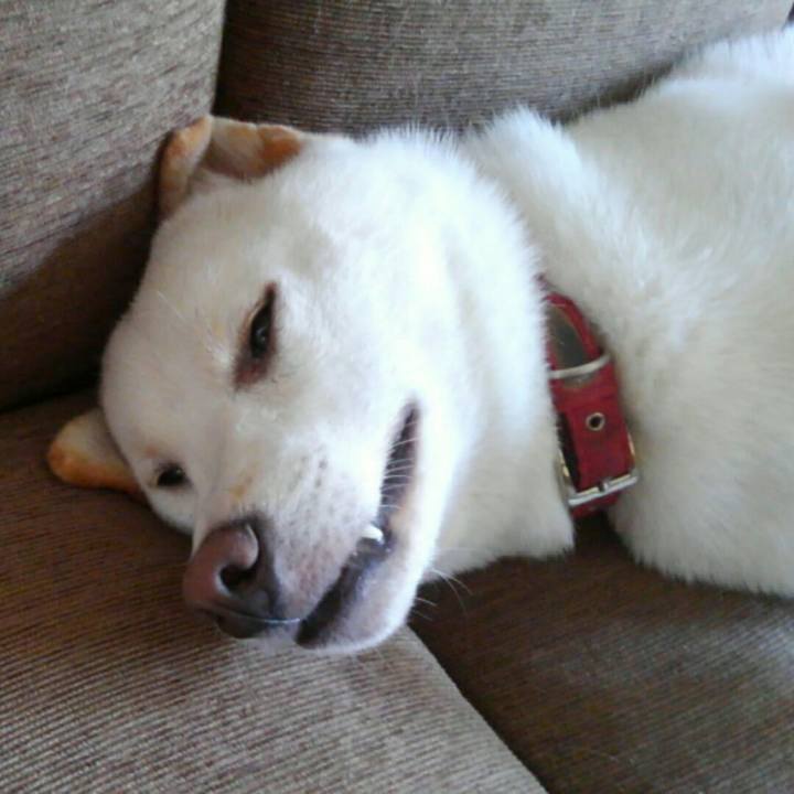 762db50c f18e 4350 b313 65f26dbdd9ad