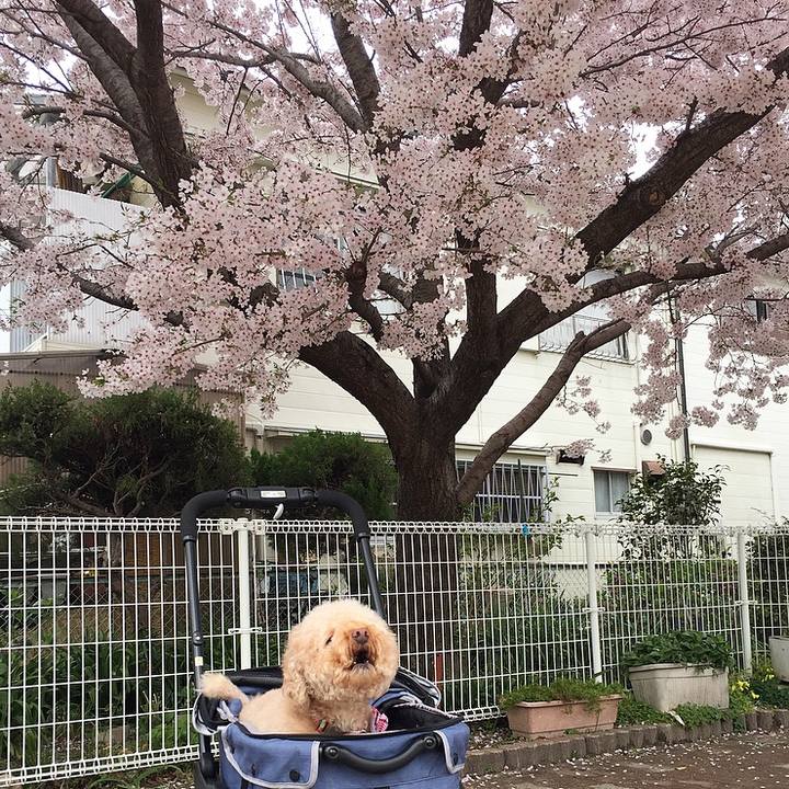 762db880 31c7 4c22 b769 f039d5d58c8d