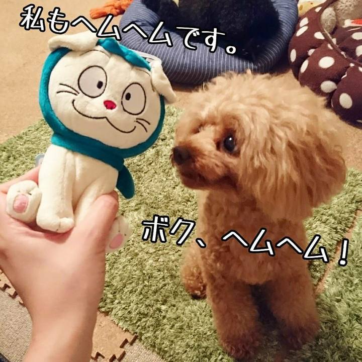 76300248 32f5 428c 99a7 0c735f03dfaf