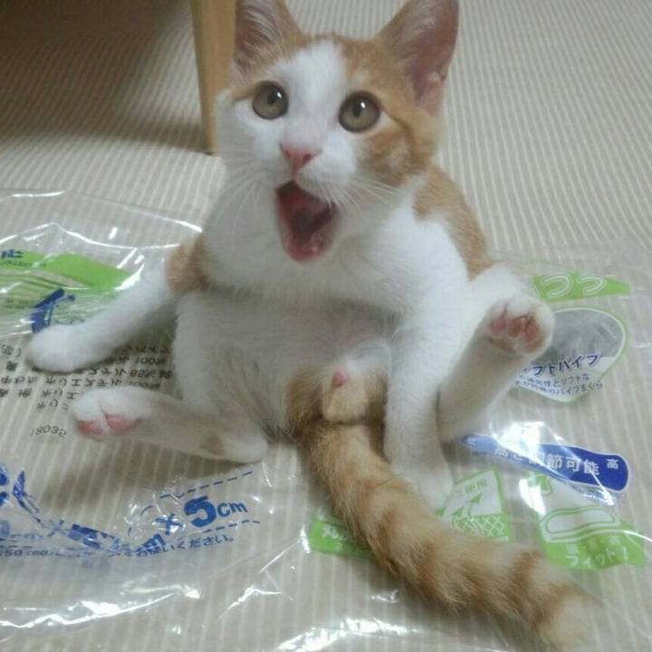 76304861 d2a9 4e14 baf8 38a9a8539ab9