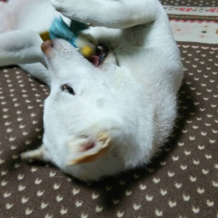 763080b9 4706 499c 9a0e 3e290ceda793