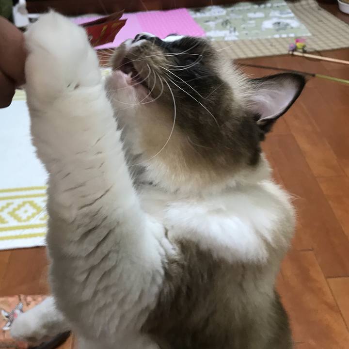 76308fa6 e363 4dd9 a5cd 9581d8b94af8