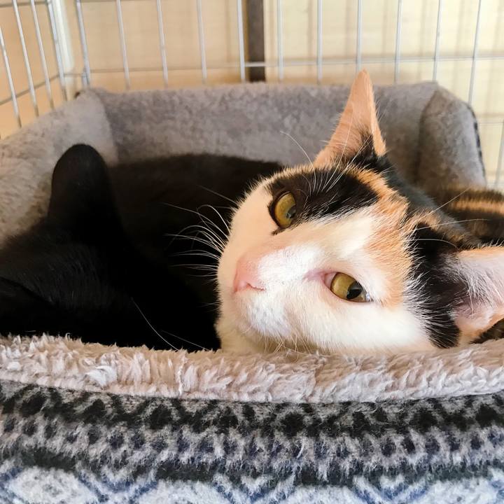 76310239 709c 44ac bbae b8a111c654ce