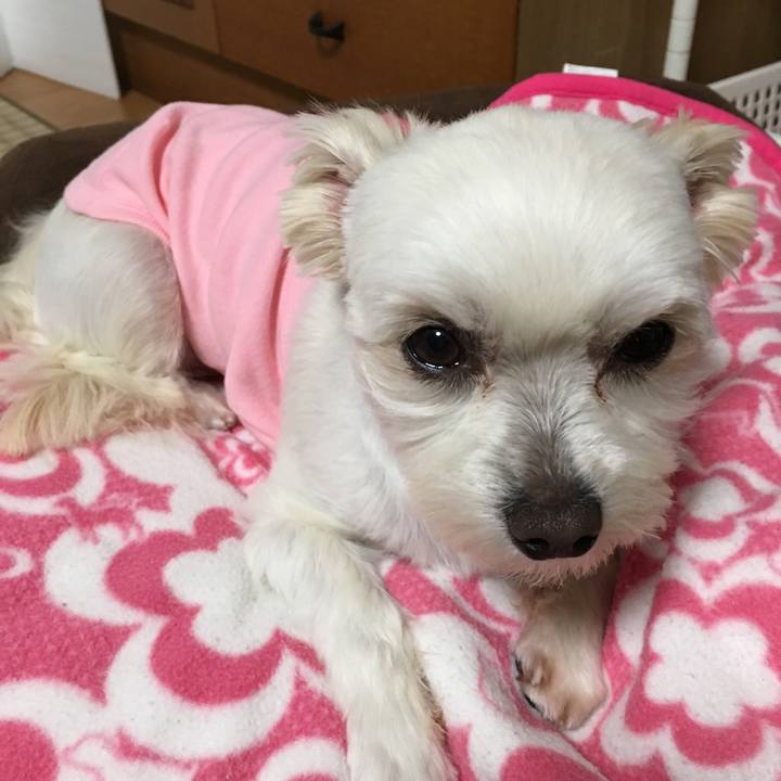 76317736 d2e2 48a3 885c dc6c4995645b