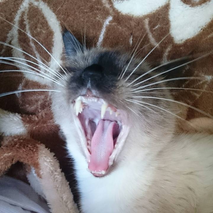 7631fd13 1a7c 4c82 860b 549a85c766cb