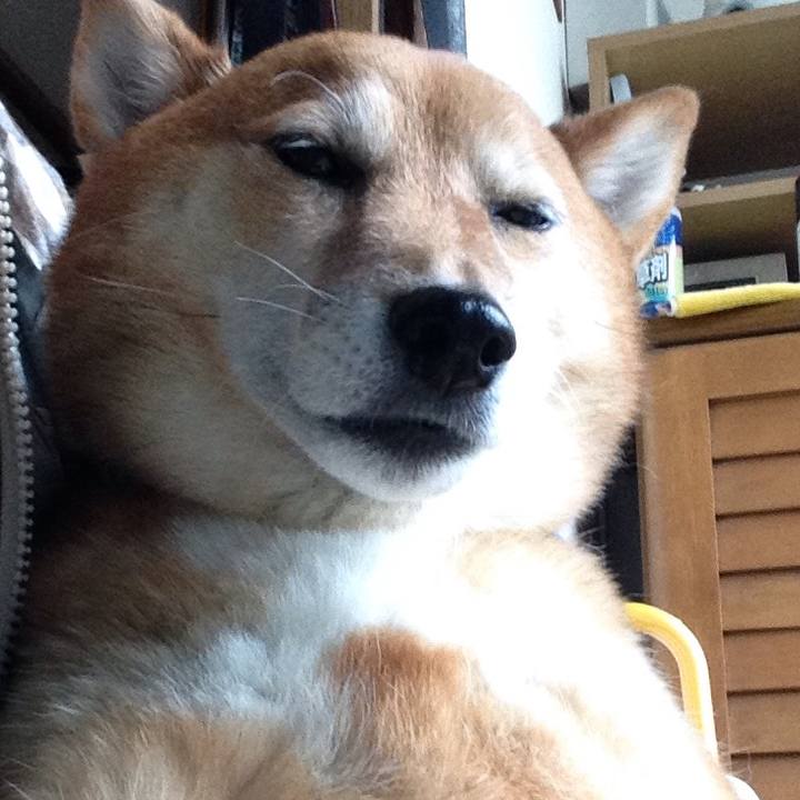 7632ffcb f8d9 47f3 b5cc 20b1e5eb12e1