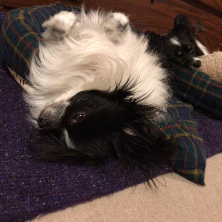 763323bd d7c6 44a3 93f1 d6035ac7d1c4