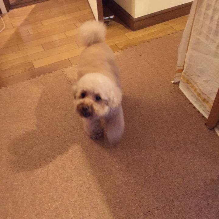 7633e58b 3b4b 4e1d 8f96 58f16da88cb5