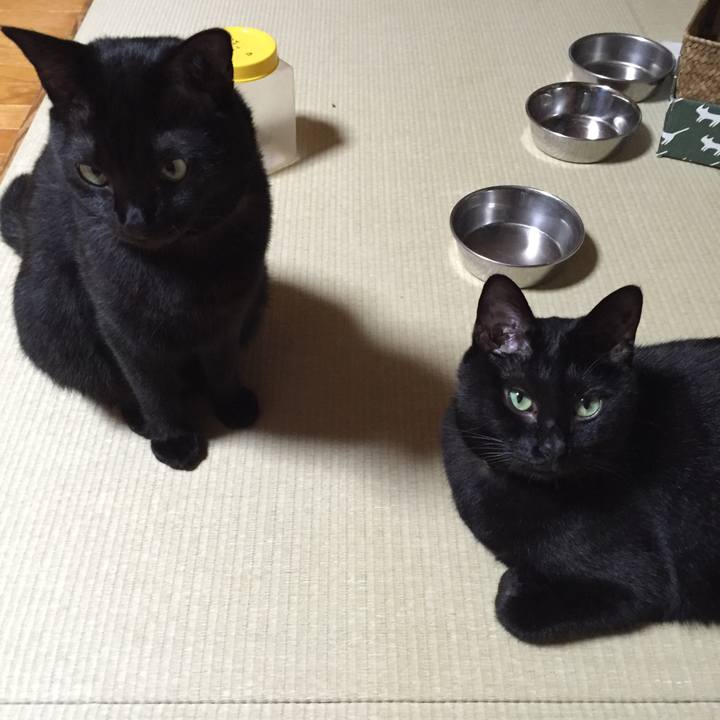 7633edde 106a 4a2d bf88 9b9639e7dc5f