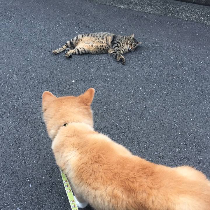 763447cb c7a9 40a4 93dd 840350534f3e