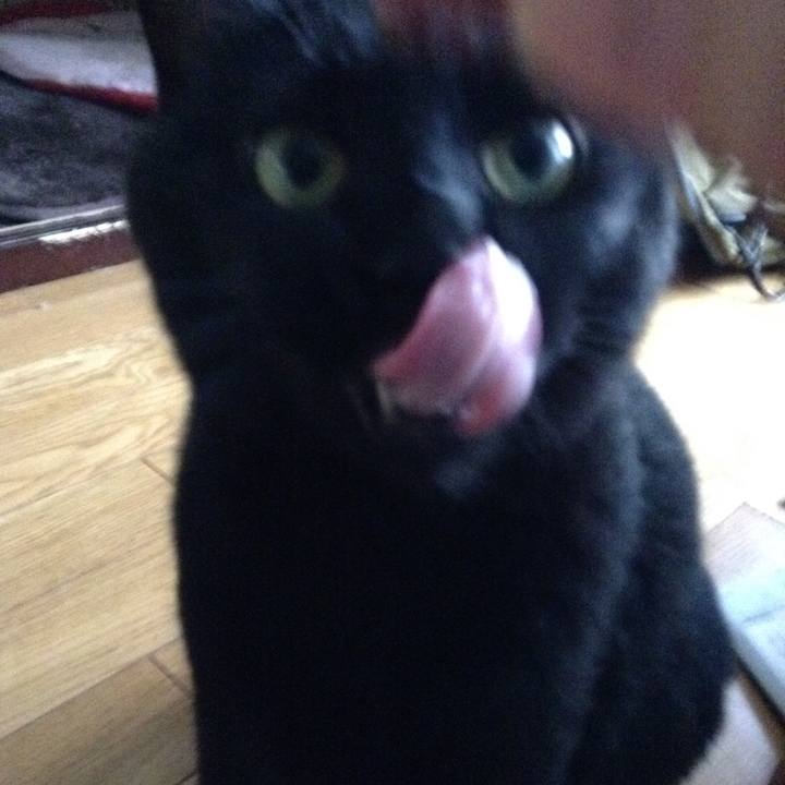 7634747b cac1 4708 9f3a 2c434cd12128