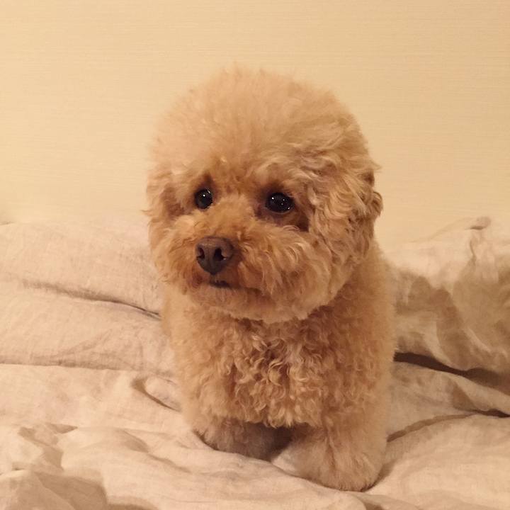 763482f8 093f 4e2e b71b b3fdb8828be8