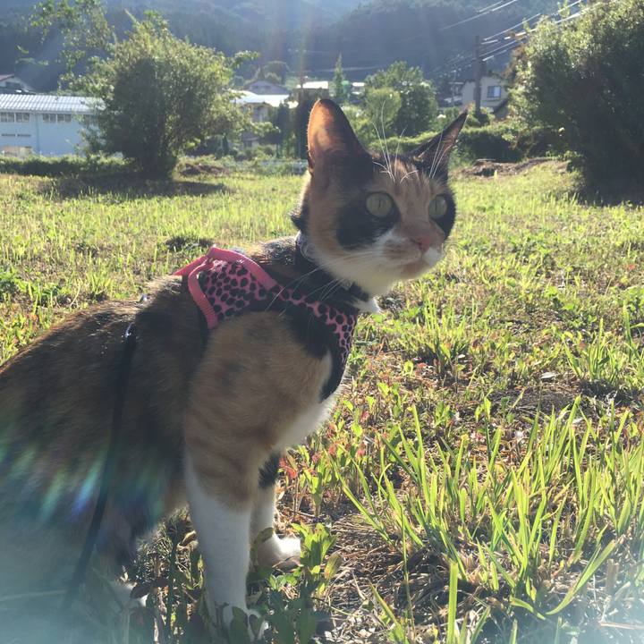 763512c9 b5b5 4694 ac83 5679c1d23e19