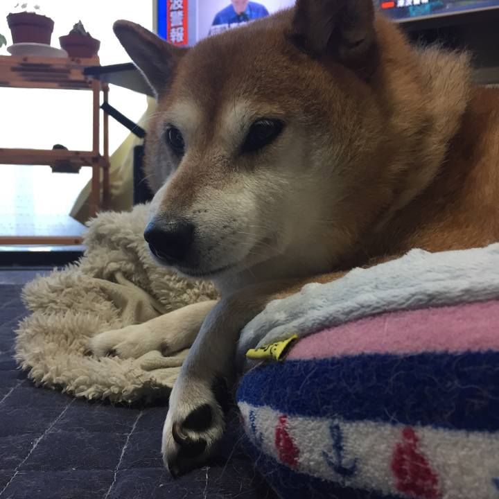 76353297 caa1 496c 8626 1a77cc31466b