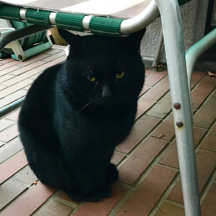 76354fe5 9b57 48ef a566 4b3d1ffaf382