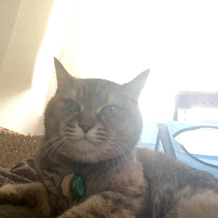 76363c44 96a8 4e95 82d7 375922e84973