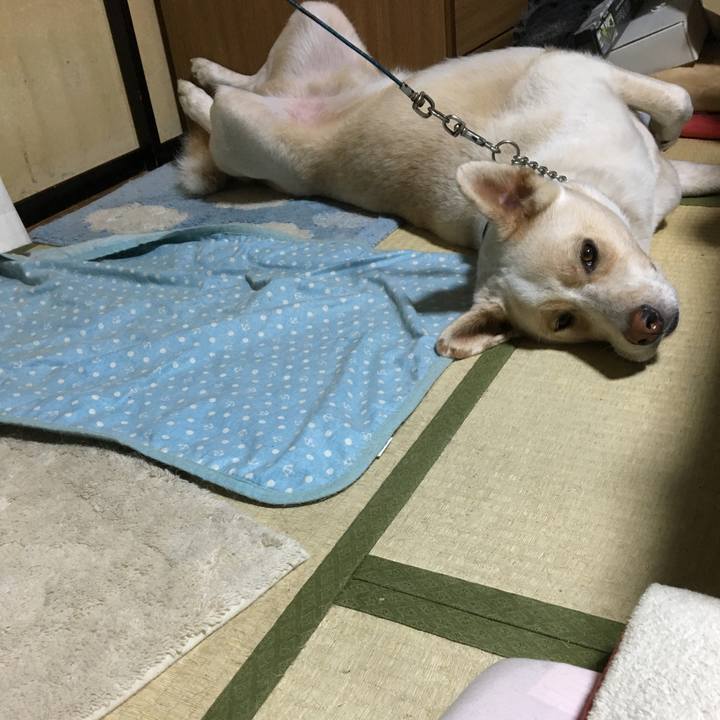 76368db9 093a 4fbd 8392 a94d76f16ef0