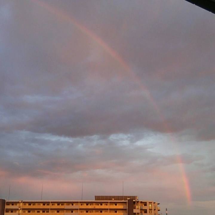 7636f5ca edc1 41a9 aa98 e435a84f732f