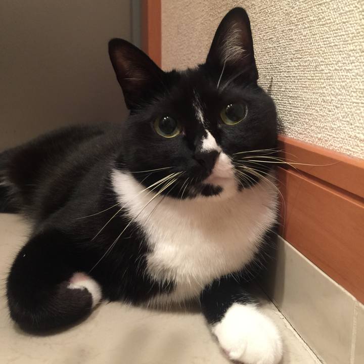 7637a3cb 1762 49f4 b530 97d5a64d5053