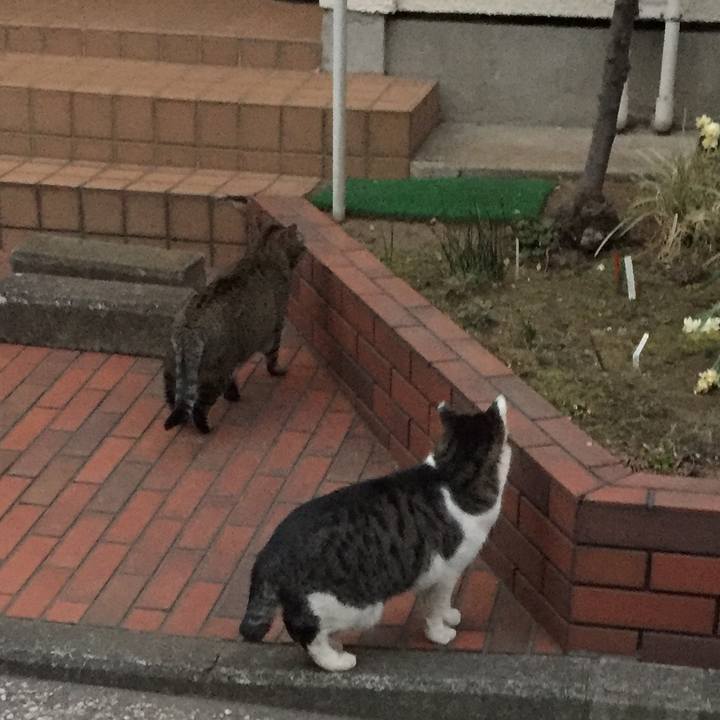 7637e571 45ef 4246 81b0 6f75c9a064ef