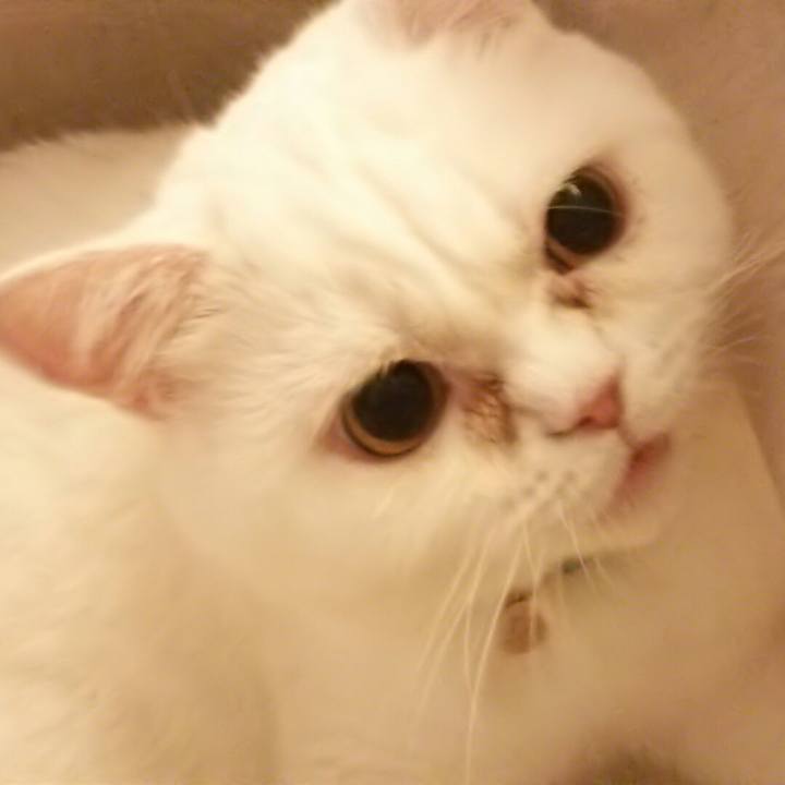 76387a34 ab51 4ac5 8210 d167197b545d