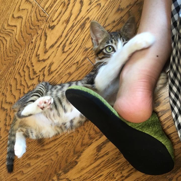 7638a3c0 9ea5 41ee aaf2 e6e1a2265b82