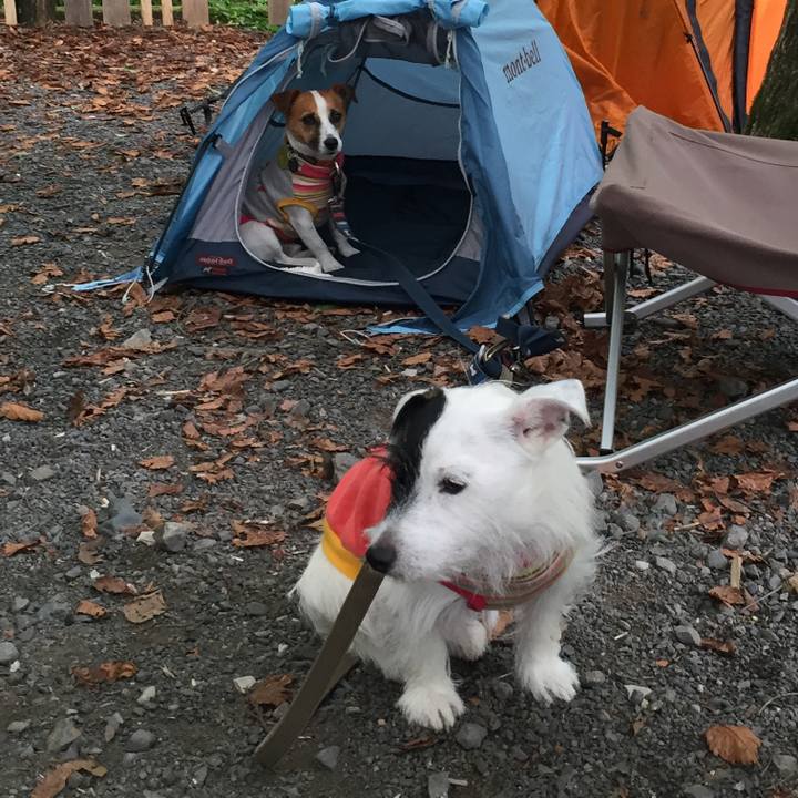 76391d14 6e49 4534 b406 d2a639a8ed00