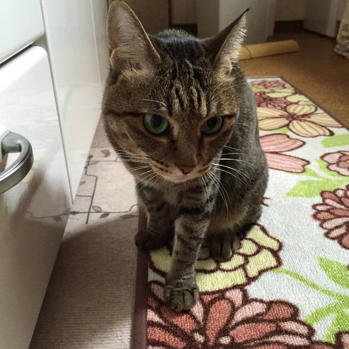 76393301 78a4 4081 bd3a 80421d72efdb