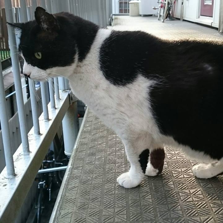 7639a2f5 42db 4f41 ba37 8063c4e9b319