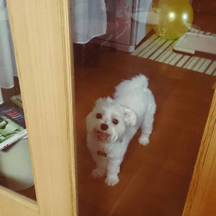 763a2201 b278 4ce0 992d fdd9d662f009