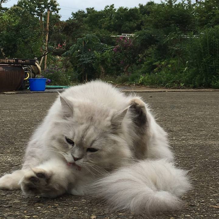 763a5e5d dc13 48b8 a8ef 6c2d1417f6c9