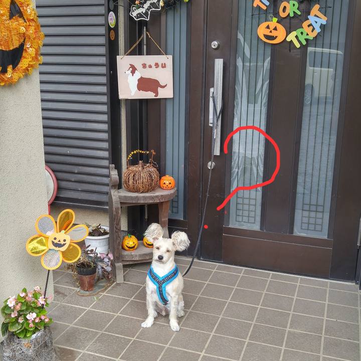 763a80fa 7c6d 4db4 8986 393cf29359ab